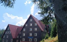 Маріна Драгобрат